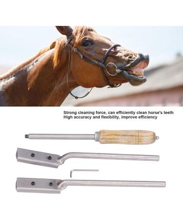 4Pcs Veterinary Horse Dental Float Rasp High Flexibility Fine Polishing Smoother Surfaces Equine Dental Kit for Animal Farm - Buy Online on SooperMarket.com