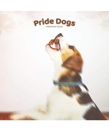 Prideedogs Beef Head Skin 500g - Premium All-Natural Dog Chew Snack | 100% German Beef | Odor-Neutral Packaging for Puppies & Older Dogs - Buy Online on SooperMarket.com
