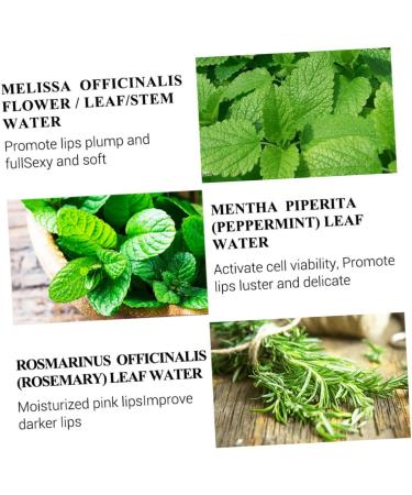Mikinona Lip Serum Lip Oils Lipgloss Lip Tint Essence Lip Gloss Lip Balm Lip Plumping Oil Lip Oil Balm Plumping Lip Oil Lip Care Supplies Hydrating Lip Oil Lip Pomade Nursing Oil Lips Water - Buy Online on SooperMarket.com