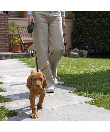 Buy Ferplast Flippy One Dog Leash for Medium Dogs - 5m Retractable Lock Button Lightweight & Durable Red - Ships Internationally - Buy Online on SooperMarket.com