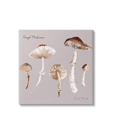 Stupell Industries Foraged Mushrooms Study Canvas Wall Art by Claudia Bianchi 24 x 24