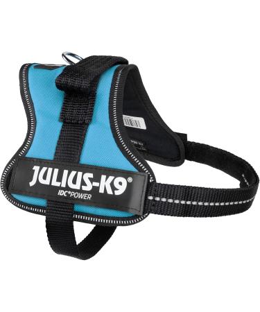 K9 Powerharness XS/Mini-Mini Aquamarine - Best Fit for Your Small Dog | International Shipping Available - Buy Online on SooperMarket.com