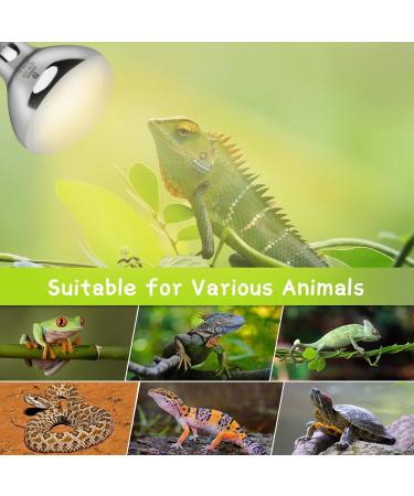 REPTI HOME Reptile Heat Lamp 125W Full Spectrum UVA UVB Sun Lamp Simulate Natural Sunlight Heat Lamp Bulb for Reptile and Amphibian Sun Light 125W - Buy Online on SooperMarket.com