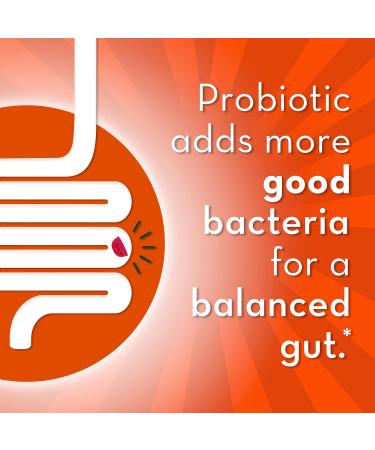 Align Probiotic Gummies Helps Support Gastrointestinal Health Made With Naturally Sourced Fruit Flavors Strawberry Flavour 60 Gummies Strawberry 60 count (Pack of 1) - Buy Online on SooperMarket.com