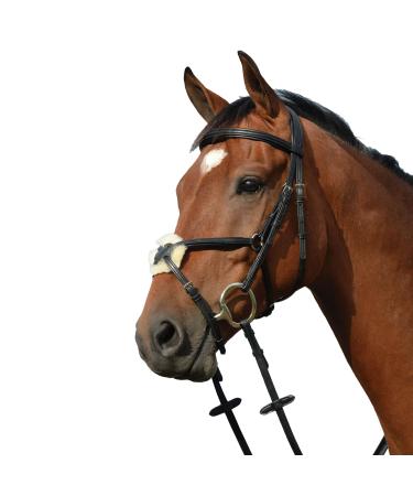 Collegiate Syntovia+ Padded Raised Grackle Bridle Black Cob