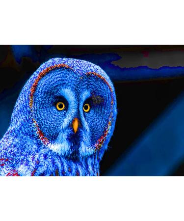 YXQSED DIY 5D Diamond Painting Kits  Painting Cross Stitch Full Drill Crystal Rhinestone Embroidery Pictures Arts Craft for Home Wall Decor Gift -Animal 11.8 x 15.7 inch