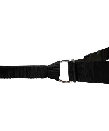 LASALINE Pulling Leash for Dogs - Canicross Jogging Trekking & Scooter | 142cm for Dogs up to 20kg - Black - Buy Online on SooperMarket.com