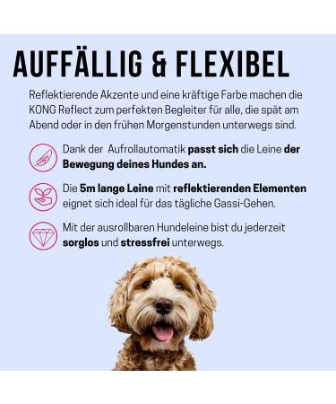 Buy Cong Roll-Out Dog Leash 5m for Large Dogs up to 50kg | High-Quality with Break & Lock System | Soft Handle & Reflective Belt - Yellow-Black - Buy Online on SooperMarket.com