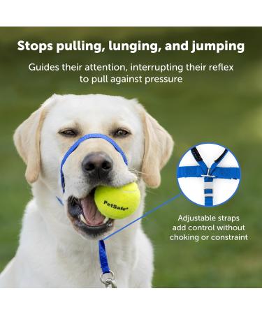 PetSafe Gentle Guide Collar - Beige Medium | Includes Training DVD | International Shipping - Buy Online on SooperMarket.com