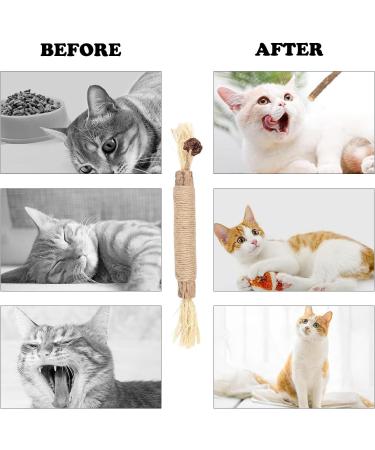HBINGL Silvervine Chew Sticks for Cats 4 pcs Brown Catnip Chew Sticks for kitten Cat Teeth Nip Cleaning Teeth Chew Catnip Toys Natural Cat Teeth Nip Cleaning Catnip for Indoor Cats - Buy Online on SooperMarket.com