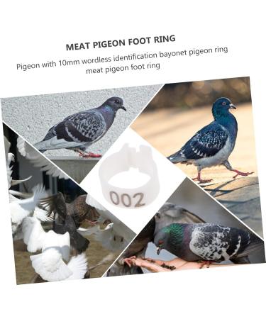 Angoily 300 Pcs Pigeon Anklet Duck Where Clip Chicken Ankle Ring Pigeons Ring Bands Parrot Label Tape Baby 1.3X1.3CMx3pcs Whitex3pcs - Buy Online on SooperMarket.com