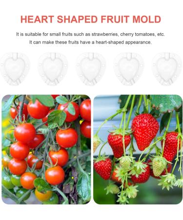 SUPVOX 15 Pcs Fruit Shaping Vegetables Growth Molds Vegetable Growing Molds Watermelon Heart-Shaped 4.5x4cmx3pcs Whitex3pcs - Buy Online on SooperMarket.com
