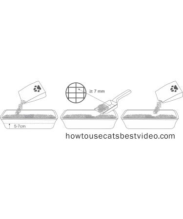 Buy Cats Best Sensitive 100% Vegetable Cat Litter | Antibacterial & Firm Clumping | Perfect for Sensitive Cats - 2.9 kg/8L - International Shipping - Buy Online on SooperMarket.com