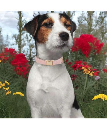 Yudote Ultra-Like Dog Collar for Small Dogs - Natural Cotton Cord Dusty Pink Sensitive Skin - 1 Pack - Buy Online on SooperMarket.com