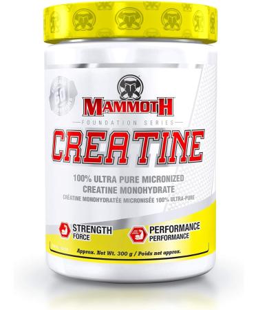 MAMMOTH MASS: Weight Gainer High Calorie Protein Powder Workout Smoothie Shake Meal Replacement & Creatine 300gm SUPPLEMENT + SUPPLEMENT 15331 6.8 kg (Pack of 1) - Buy Online on SooperMarket.com