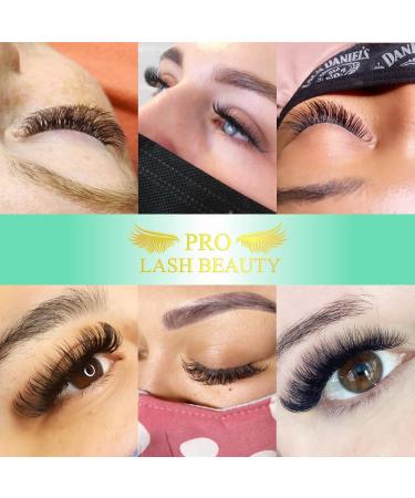 Easy Fan Lashes D-0.05-8-15 Eyelash Extensions C D curl Easy Fan Russian Lashes Self Fanning Lashes Automatic Blooming Lashes(D-0.05 8-15 mix) 8-15mix D-0.05 - Buy Online on SooperMarket.com