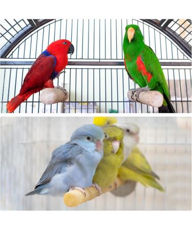 Patikil 0.6x7.9 Vogel Paw Bird Cage Stand - Ideal Accessories for Small Birds Parrots & Love Birds - Durable Wood Bars in Red - Buy Online on SooperMarket.com