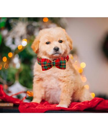 Buy Lionheart Glory Christmas Checkered Dog Collar & Shoe Collar - Adjustable Bowtie for Big Dogs - Comfortable Red-Green Checkered Design (1 Pack) - Buy Online on SooperMarket.com