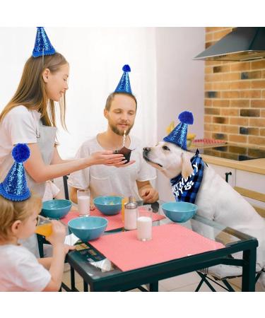 Sunallwell Dog Birthday Bandana & Party Hat Set | Cute Puppy Outfit & Decoration - Buy Online on SooperMarket.com