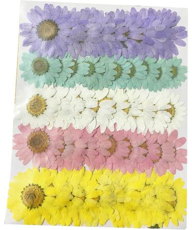 50pcs Natural Dried Daisy Flowers - Vacuum Packed for Decoration & Jewelry Making (5 Colors) - Buy Online on SooperMarket.com
