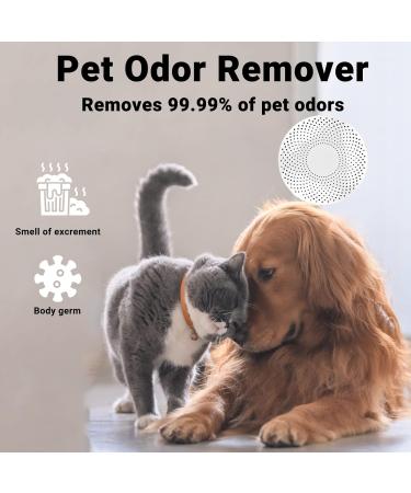 Mknzome Cat Litter Deodorizer - Intelligent Odor Eliminator 99% Deodorization Air Purifier for Cat Toilets & Small Surfaces - Buy Online on SooperMarket.com