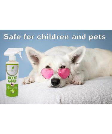 Natural Elements Rodent Armor: Premium Peppermint Oil Mouse Repellent Spray - 16 oz - Safe for Vehicles, Boats, RVs, Tractors, and Equipment - Child and Pet Friendly - Indoor/Outdoor Use - Buy Online on SooperMarket.com