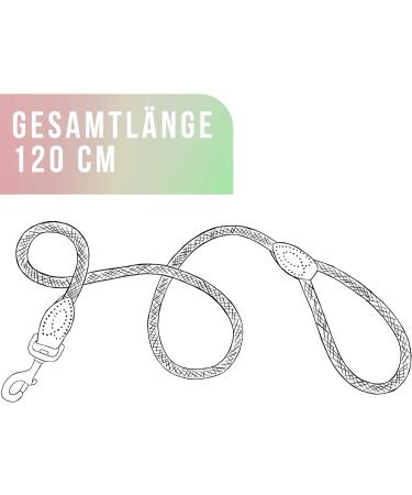 Shop 1.2m No Tangle Dog Training Leash for Medium to Large Dogs Robust Braided Design & Hand Loop Mauve Color - Buy Online on SooperMarket.com