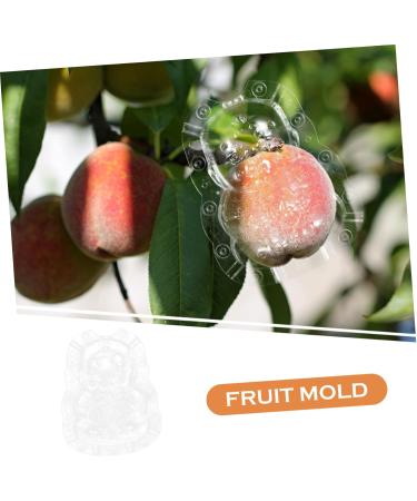 ORFOFE 2pcs Shaped Growth Fruit Buddha Baby Shaper Small Watermelon Accessories - Buy Online on SooperMarket.com