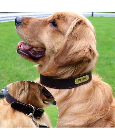 Tagme Personalized Leather Dog Collar for Medium & Large Dogs - Custom Engraved Name & Phone Number - Brown (L) - Durable & Stylish - Buy Online on SooperMarket.com