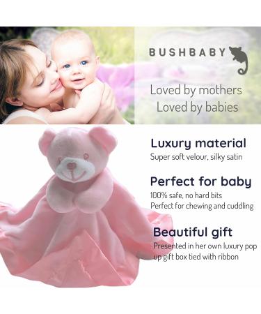 BUSHBABY Plush Teddy Comfort Blanket Gift Set - Perfect 1st Birthday or Newborn Present for Girls - Pink Cube Box - 10cm - Buy Online on SooperMarket.com