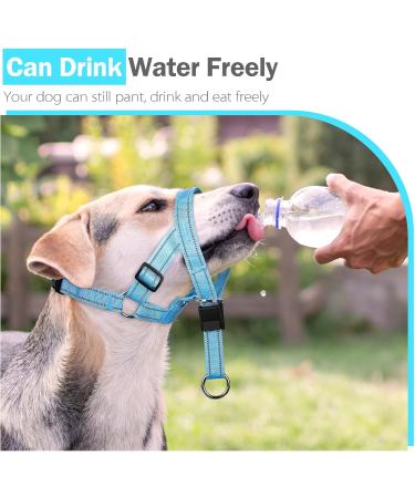 Weesiber Medium Blue Soft Dog Collar - Adjustable Padded Halter with Reflective Strips for Safe Training & Walking - No Pull Design - Buy Online on SooperMarket.com