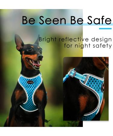 Thinkpet No-Pull Dog Harness Leash Set - Breathable Padded Reflective Safety Harness for Small Medium Large Dogs - Adjustable Running Harness (1 Pack) - Blue - Buy Online on SooperMarket.com