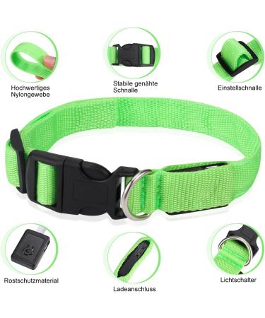 Jostift Luminous Elbe Rechargeable LED Dog Collar - Waterproof & Adjustable for Small/Medium Dogs - Super Bright with 3 Lighting Modes (Green) - Buy Online on SooperMarket.com