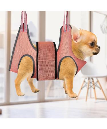 Jacekee Claw Scissors Hammock for Cats - No Scratch Pet Care Bag for Grooming & Claw Cutting - Buy Online on SooperMarket.com