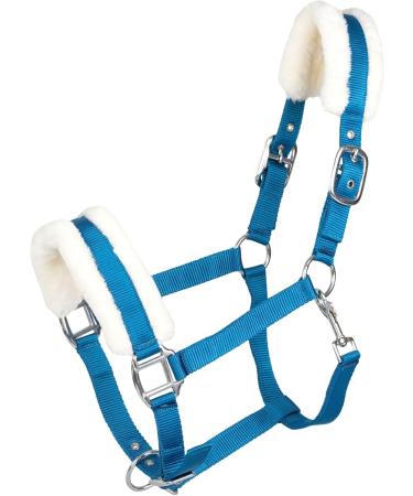 RL24 Halter with Plush Padding - BASICLINE in 6 Colors for Shetty Pony Thoroughbred Warmblood | Turquoise Shetty - Buy Online on SooperMarket.com