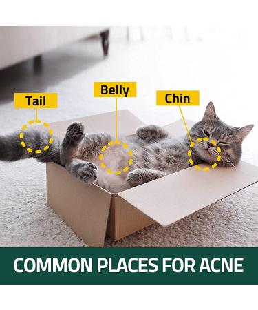Breezytail PetO'Cera CICA Toner for Cats - Acne, Hot Spot, Blackhead Relief | Soothing & Hypoallergenic Skin Care | 7.1 oz - Buy Online on SooperMarket.com