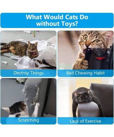 Osdue Cat Mint Toys - 3 Plush Fish Toys for Cats & Kittens | Dental Chew & Simulation Fish | International Shipping - Buy Online on SooperMarket.com