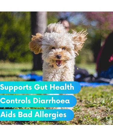 PupRepublic Fast Acting dog diarrhea treatment - Digestive Disorders - More Effective than Kaolin - Sickness & Allergy Relief for Dogs of All Breeds & Sizes 250 ml (Pack of 1) - Buy Online on SooperMarket.com