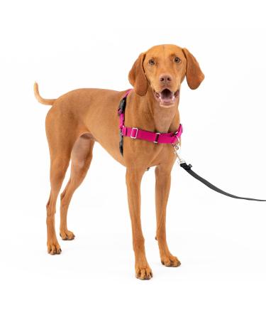 PetSafe Easy Walk Harness Anti-Pull Dog Harness Reduces Choking and Coughing With 1.8M Leash Size M Pink M Pink
