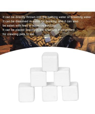 Premium Aquarium Calcium Stone - Essential Trace Elements for Turtles Snails & Reptiles - Ideal for Terrestrial Animals - Buy Online on SooperMarket.com