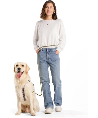 Hands-Free Dog Leash - 2m Adjustable Belt for Running & Training | 3-in-1 Multi-Function for All Dog Sizes - Touline Army Green - Buy Online on SooperMarket.com