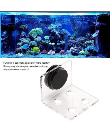 Buy Cikonielf Magnetic Coral Frag Rack - 4 Hole Transparent Acrylic Aquarium Coral Holder for International Shipping - Buy Online on SooperMarket.com