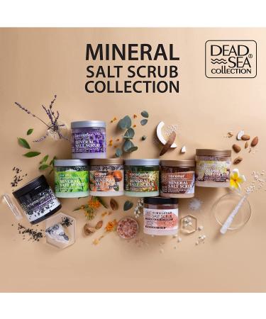 Dead Sea Collection Salt Body Scrub 23.28 OZ with Himalayan Salt & Organic Oils - Buy Online on SooperMarket.com