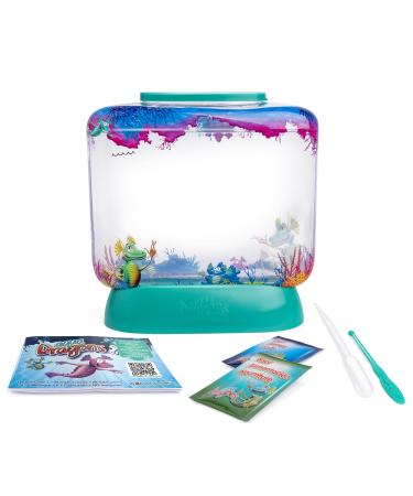 Aqua dragons Underwater World Aquarium Single