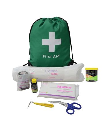 LINCOLN First Aid Kit For Horses and Ponies comes in a handy Travel Bag