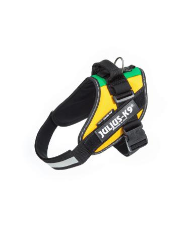 IDC Powerharness Size: M/0 Lithuanian Colors Lithuanian Colors M/0