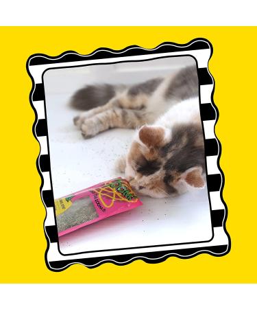 FAT CAT Organic Catnip - USA Grown & Harvested - Hoots Zoom Around the Room Catnip - Buy Online on SooperMarket.com