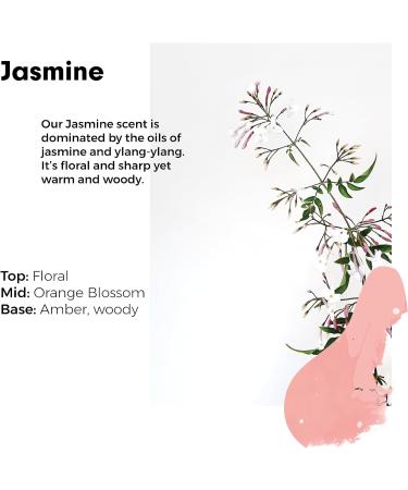 Wilton London Jasmine Fabric Conditioner Refill - 160 Washes | Plant-based & Biodegradable | 100% Recyclable | Essential Oils | 4L - Buy Online on SooperMarket.com