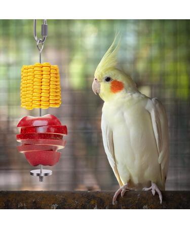 QBLEEV Stainless Steel Bird Food Holder - Parrot Fruit & Vegetable Stick Foraging Toy & Treat Skewer - Buy Online on SooperMarket.com
