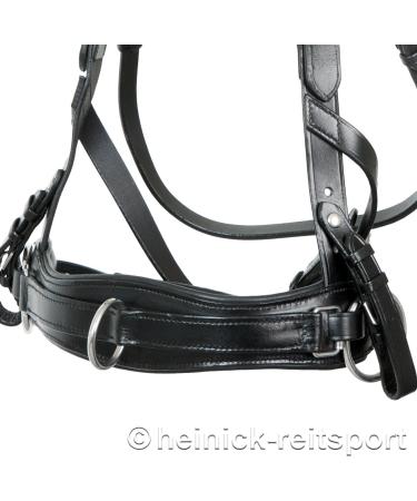 Heinick-Reitsport Professional Leather Cavesson with Bit Strap - ProLine Black for Warmblood/Thoroughbred | International Shipping Available - Buy Online on SooperMarket.com